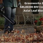 Greenworks Pro GBL80300 80V